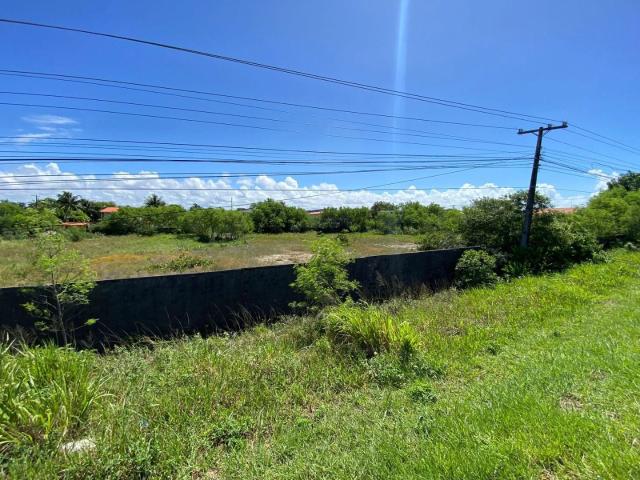 Terreno / Lote para Venda em Camaçari/BA Arembepe Abrantes