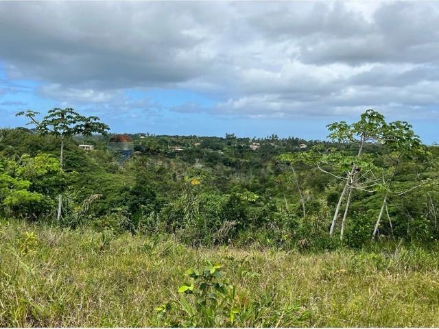 Terreno / Lote para Venda em Camaçari/BA Arembepe Abrantes