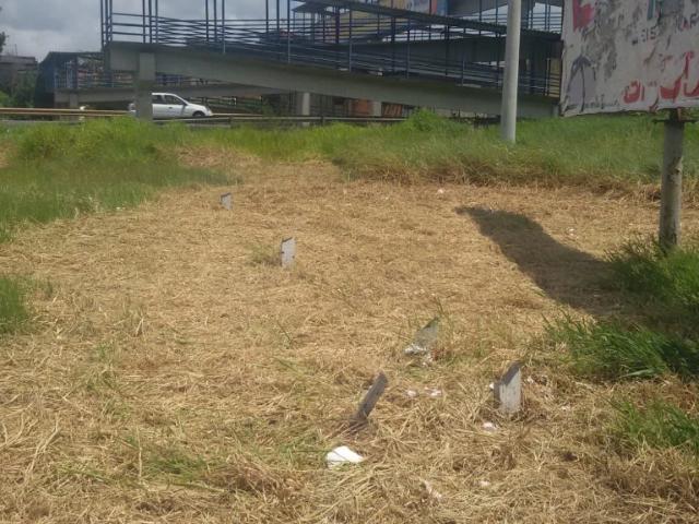 Terreno / Lote para Venda em Camaçari/BA Arembepe Abrantes