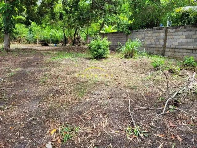 Terreno / Lote para Venda em Camaçari/BA Arembepe Abrantes