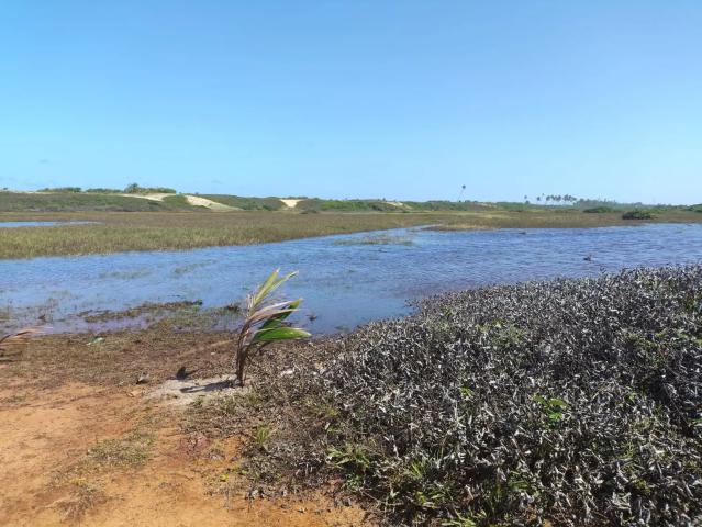 Terreno / Lote para Venda em Camaçari/BA Arembepe Abrantes