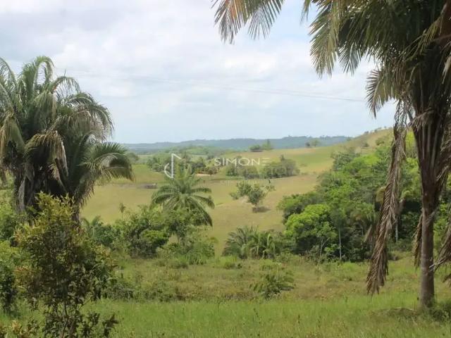 Terreno / Lote para Venda em Camaçari/BA Busca Vida