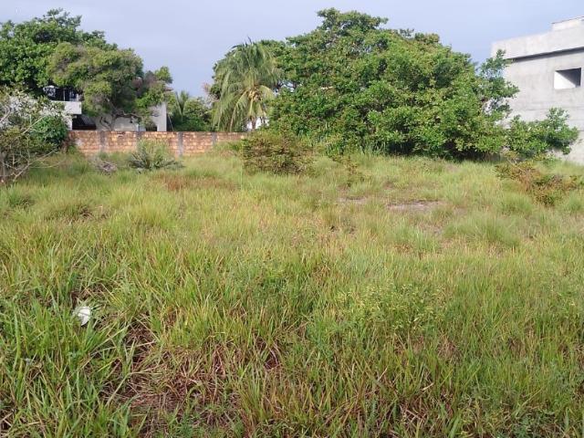 Terreno / Lote para Venda em Camaçari/BA Busca Vida
