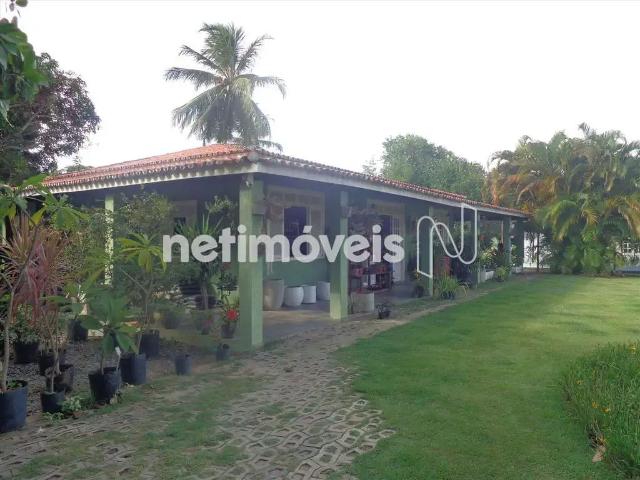 Terreno / Lote para Venda em Camaçari/BA Barra do Jacuípe