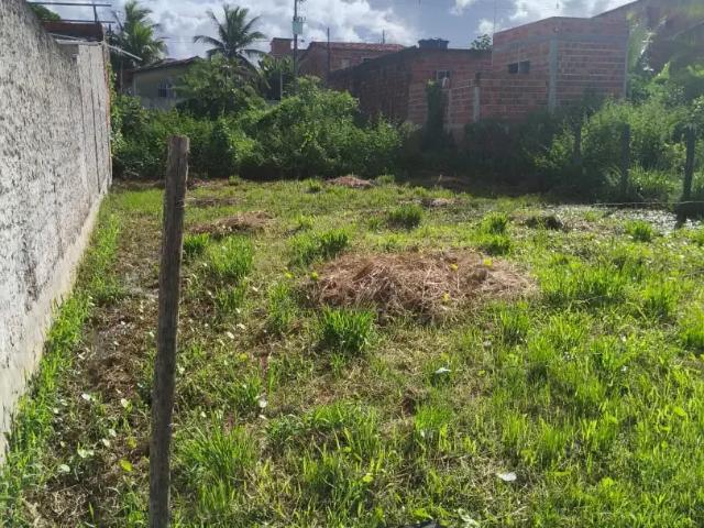 Terreno / Lote para Venda em Camaçari/BA Cascalheira