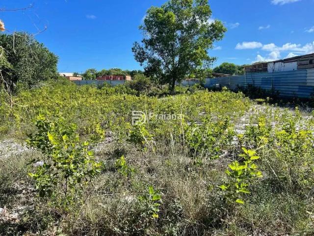 Terreno / Lote para Venda em Camaçari/BA Itacimirim