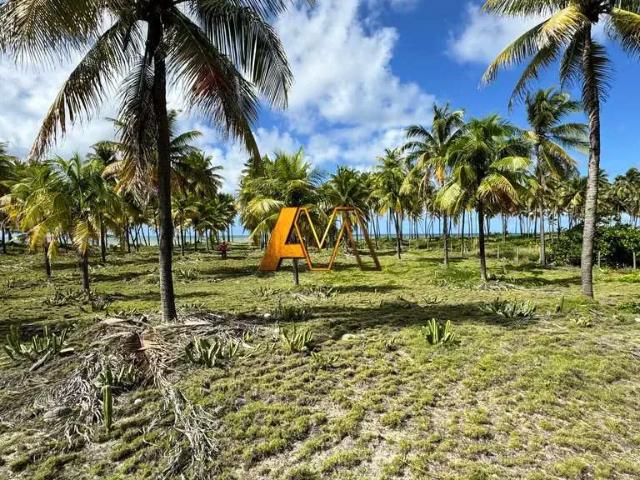 Terreno / Lote para Venda em Camaçari/BA Praia de Busca Vida