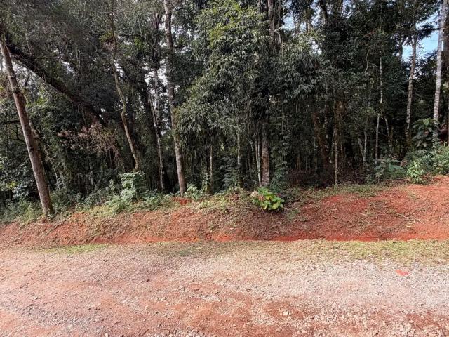 Terreno / Lote para Venda em Camanducaia/MG Monte Verde