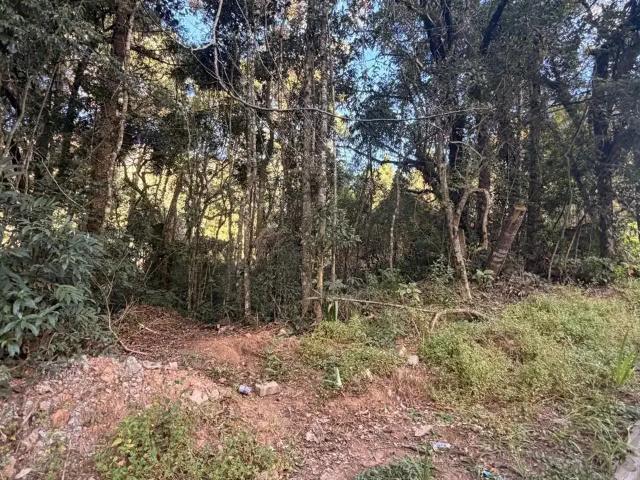 Terreno / Lote para Venda em Camanducaia/MG Monte Verde