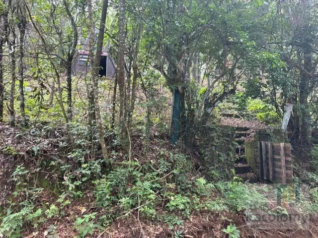 Terreno / Lote para Venda em Camanducaia/MG Monte Verde