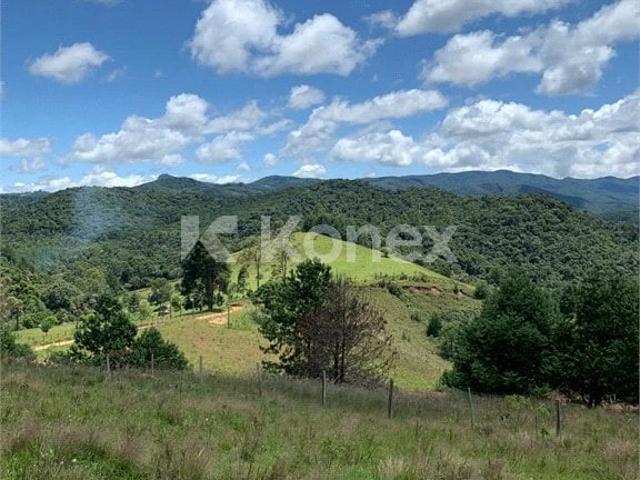 Terreno / Lote para Venda em Camanducaia/MG Centro