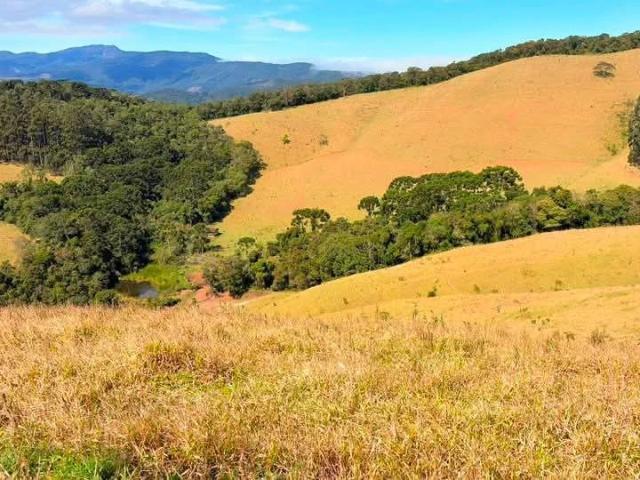 Terreno / Lote para Venda em Camanducaia/MG Zona Rural