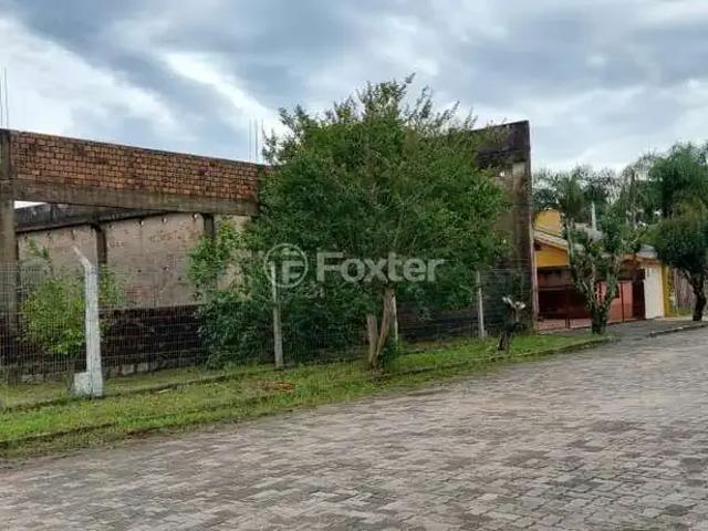Terreno / Lote para Venda em Camaquã/RS Centro