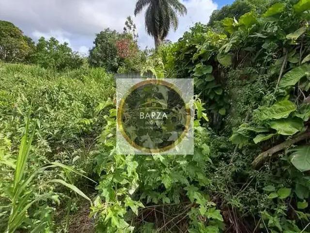 Terreno / Lote para Venda em Camaragibe/PE Aldeia dos Camarás