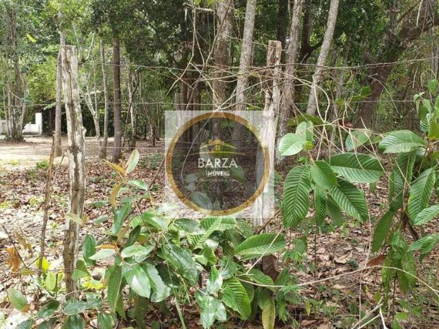 Terreno / Lote para Venda em Camaragibe/PE Aldeia dos Camarás