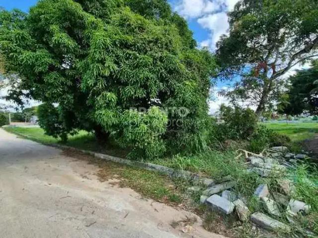 Terreno / Lote para Venda em Camaragibe/PE Aldeia dos Camarás