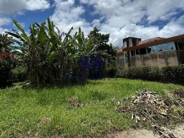 Terreno / Lote para Venda em Camaragibe/PE Aldeia dos Camarás