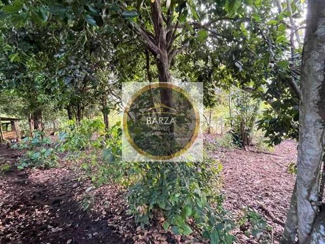 Terreno / Lote para Venda em Camaragibe/PE Aldeia dos Camarás