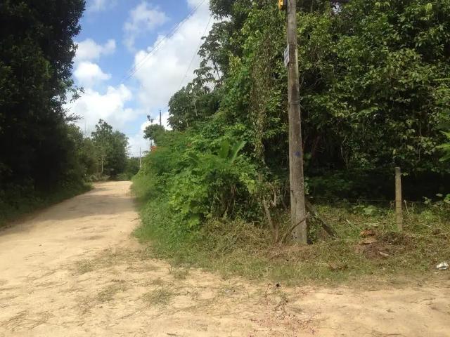Terreno / Lote para Venda em Camaragibe/PE Bairro dos Estados