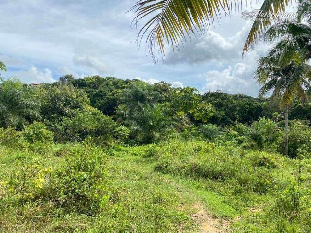Terreno / Lote para Venda em Camaragibe/PE Jardim Primavera