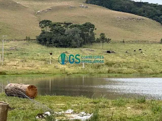 Terreno / Lote para Venda em Cambará do Sul/RS Zona Rural