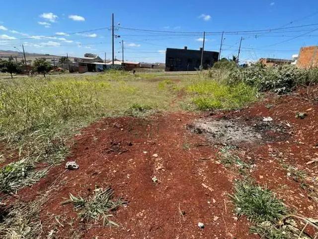 Terreno / Lote para Venda em Cambé/PR Conjunto Habitacional Doutor José dos Santos Rocha