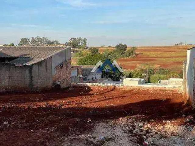Terreno / Lote para Venda em Cambé/PR Jardim Silvino