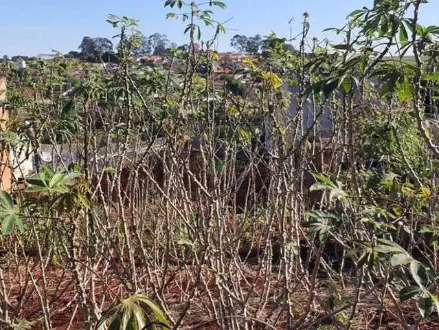 Terreno / Lote para Venda em Cambé/PR Jardim Silvino