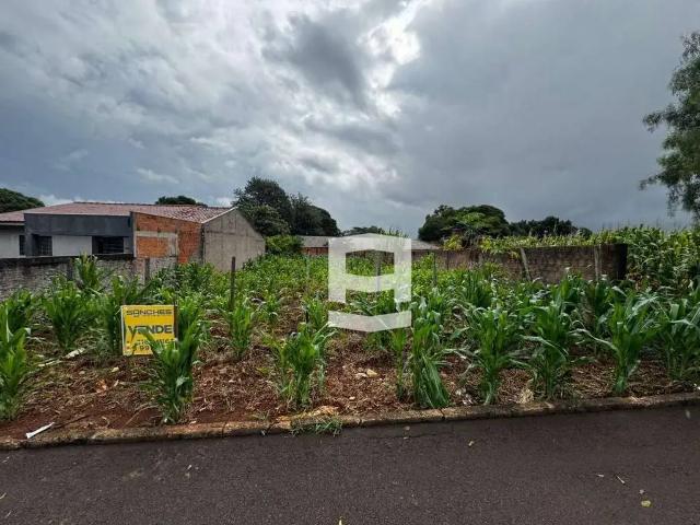Terreno / Lote para Venda em Cambira/PR Centro