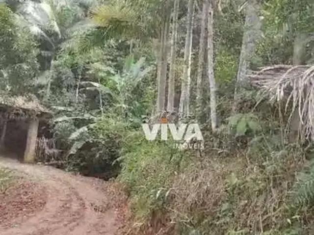Terreno / Lote para Venda em Camboriú/SC Macacos