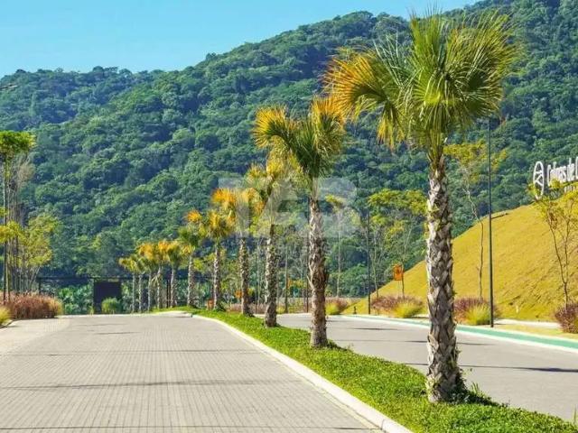 Terreno / Lote para Venda em Camboriú/SC Monte Alegre
