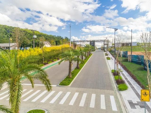 Terreno / Lote para Venda em Camboriú/SC Monte Alegre