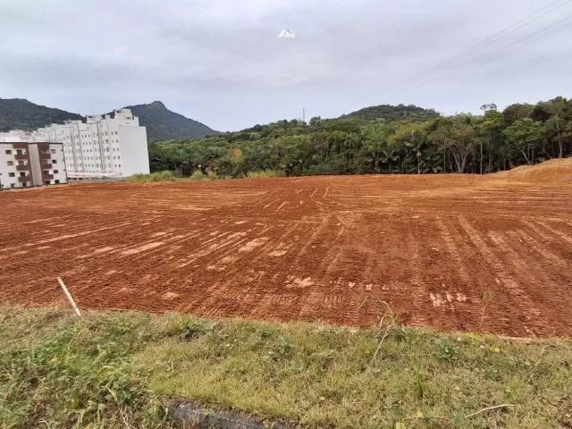 Terreno / Lote para Venda em Camboriú/SC Monte Alegre