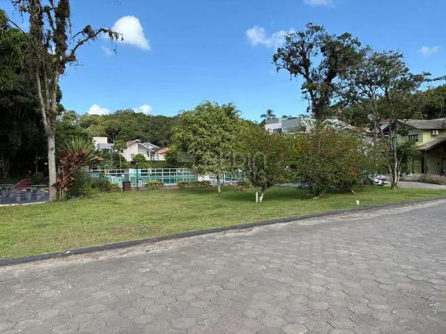 Terreno / Lote para Venda em Camboriú/SC Monte Alegre