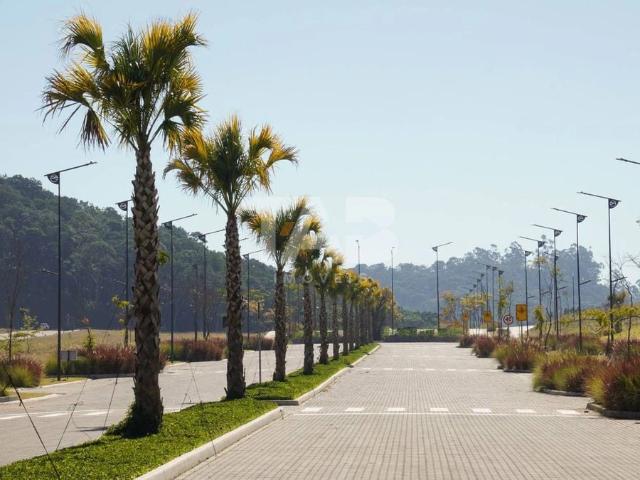 Terreno / Lote para Venda em Camboriú/SC Monte Alegre