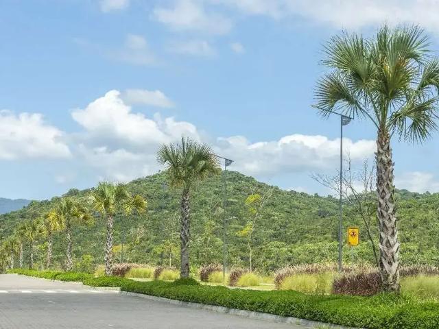 Terreno / Lote para Venda em Camboriú/SC Monte Alegre