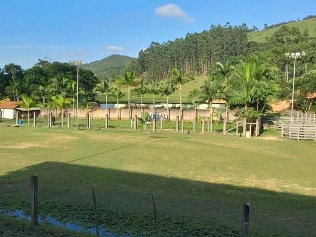 Terreno / Lote para Venda em Camboriú/SC Área Rural de Camboriú