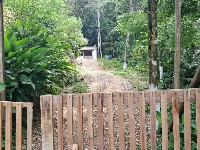 Terreno / Lote para Venda em Camboriú/SC Área Rural de Camboriú