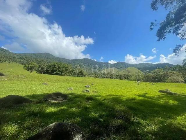 Terreno / Lote para Venda em Camboriú/SC Braço