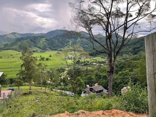 Terreno / Lote para Venda em Camboriú/SC Braço