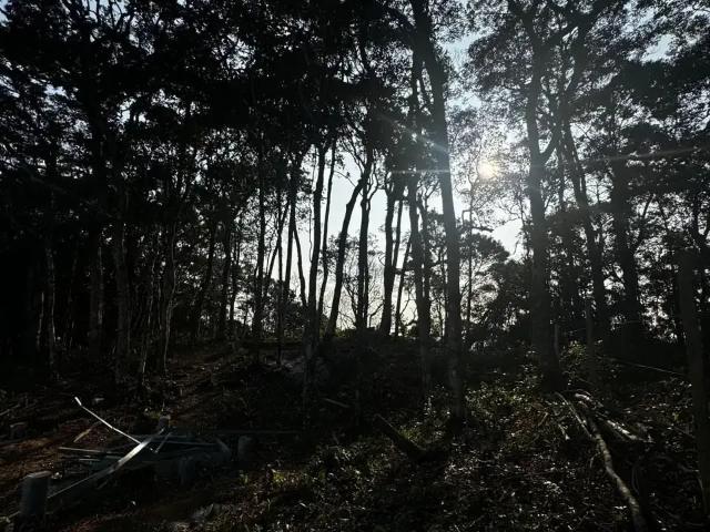 Terreno / Lote para Venda em Camboriú/SC Cedro