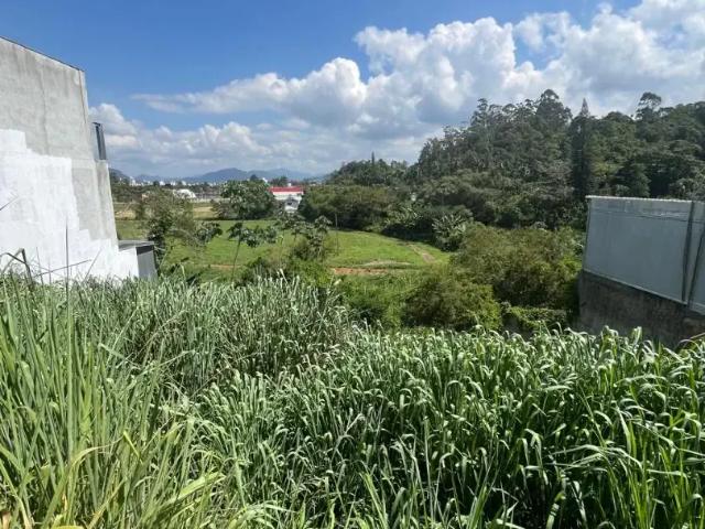Terreno / Lote para Venda em Camboriú/SC Centro