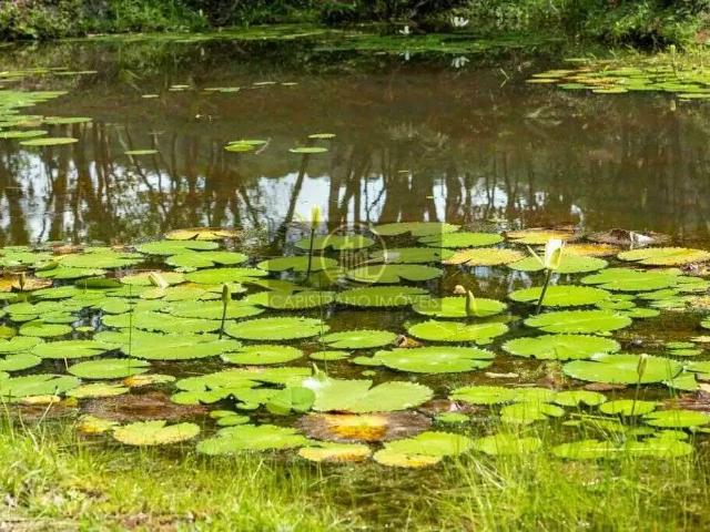 Terreno / Lote para Venda em Camboriú/SC Rio do Meio