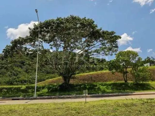 Terreno / Lote para Venda em Camboriú/SC Rio Pequeno