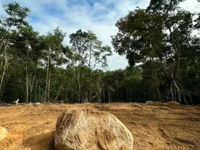 Terreno / Lote para Venda em Camboriú/SC Rio Pequeno