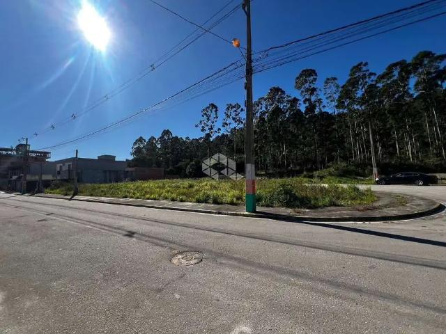 Terreno / Lote para Venda em Camboriú/SC São Francisco de Assis