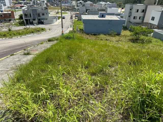 Terreno / Lote para Venda em Camboriú/SC São Francisco de Assis