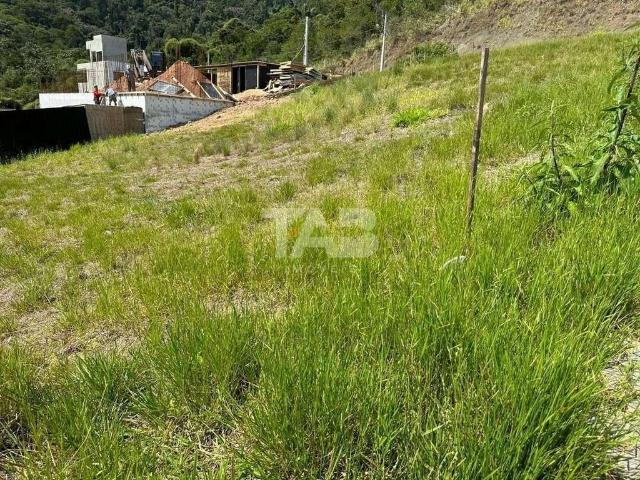 Terreno / Lote para Venda em Camboriú/SC São Francisco de Assis