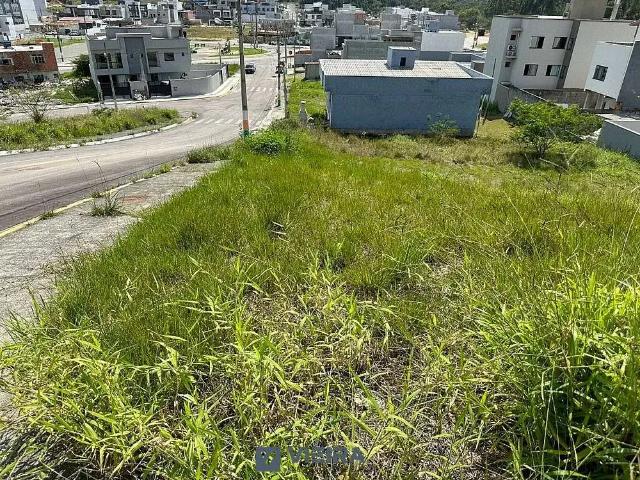 Terreno / Lote para Venda em Camboriú/SC São Francisco de Assis