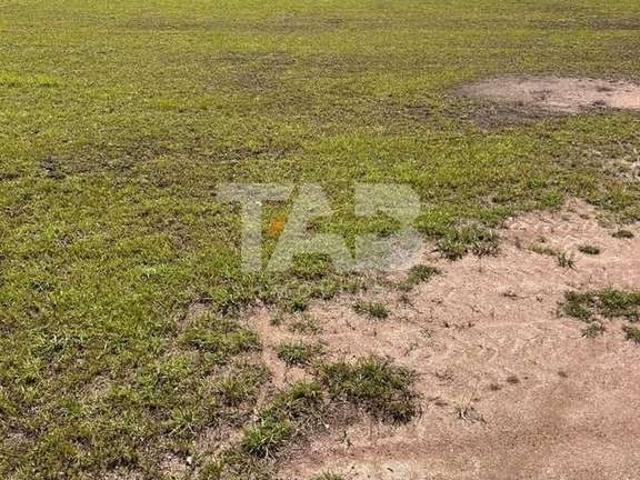 Terreno / Lote para Venda em Camboriú/SC Santa Regina